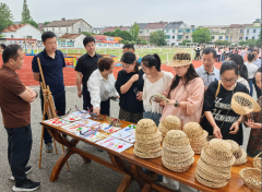 最较着的即是讲授 